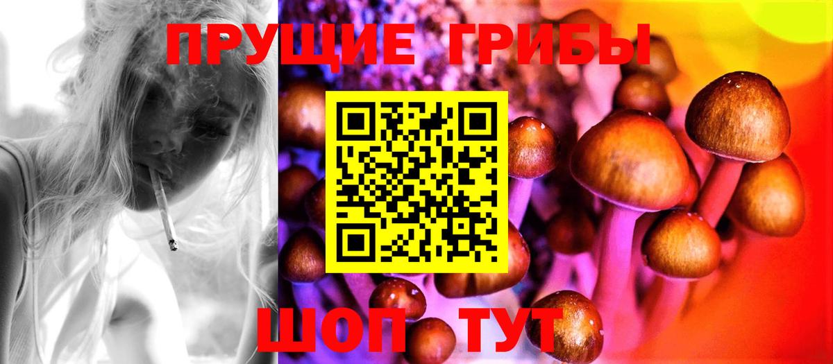 Галлюциногенные грибы Psilocybe  Псилоцибиновые грибы MAGIC MUSHROOMS  Вход с VPN  цены наркотик  Знаменск 