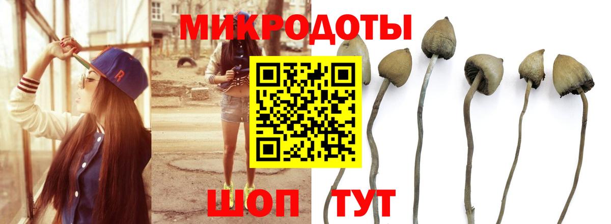 Галлюциногенные грибы мухоморы Знаменск